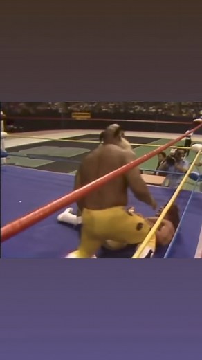 On May 8, 1988 the 5th and final Von Erich Memorial Parade of Champions took place in front of 7,000 fans at Texas Stadium. A World Championship Wrestling Association (WCWA) event, it was held by WCCW promoter Fritz Von Erich in memory of his sons David Von Erich and Mike Von Erich. The fifth version of the Parade of Champions would be the last show promoted under that name by the Von Erich family. Also only highlights of select matches aired on ESPN. In the main event, Kerry Von Erich defeated 