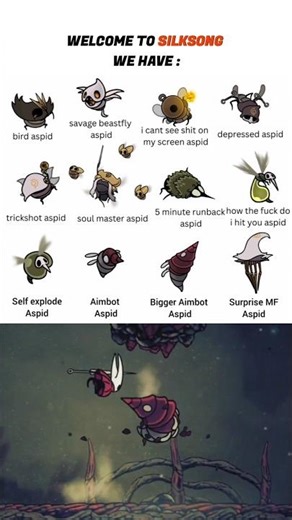 Team cherry Really one upped with this #hollowknight #silksong