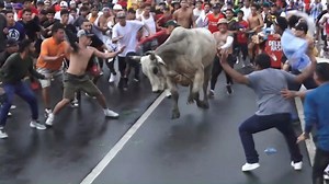 #Noticias5 Así se vivió el tradicional Tope de Toros, realizado el pasado domingo 11 de agosto en la ciudad colonial, en el que soltaron 10 toros, celebrando un año tan importante como lo es sus 500 años de fundación. Más información en la siguiente nota. | Canal 5 Tv Granada