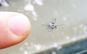 [ChrisFix]怎么修复挡风玻璃的裂口(英文字幕)