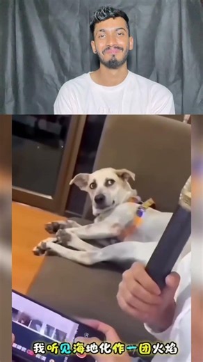 Try not to laugh challenge 1128😂#shorts #funny