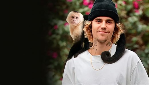 Exotic predators kept as pets by the rich and famous