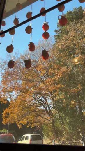 自然に囲まれた玉川温泉-秋編- #昭和レトロな温泉銭湯玉川温泉 #玉川温泉 #昭和レトロ #埼玉 #温泉 #日帰り温泉 #お風呂 #天然温泉#温泉デート #温泉巡り #ツーリング#ハイキング