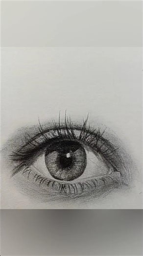 Realistic Eye Drawing ✏️ Step By Step Pencil Sketch Tutorial For Beginners #shorts #pencilart