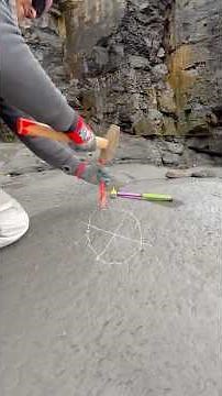 We’re delighted to have rescued another piece of prehistoric history before it was lost to the sea