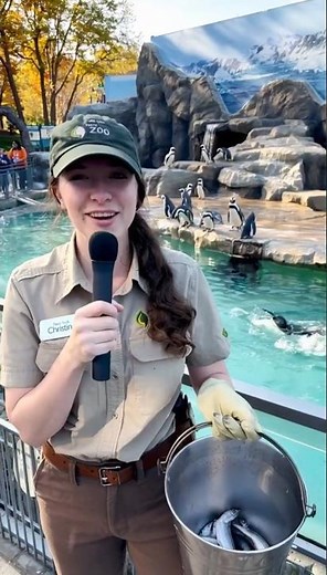 ZOO SECRETS! 🦒 Zookeeper Christina Feeds the Animals at the NYC Zoo!