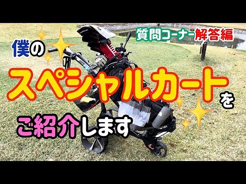 これが最強の電動【ゴルフカート】。
