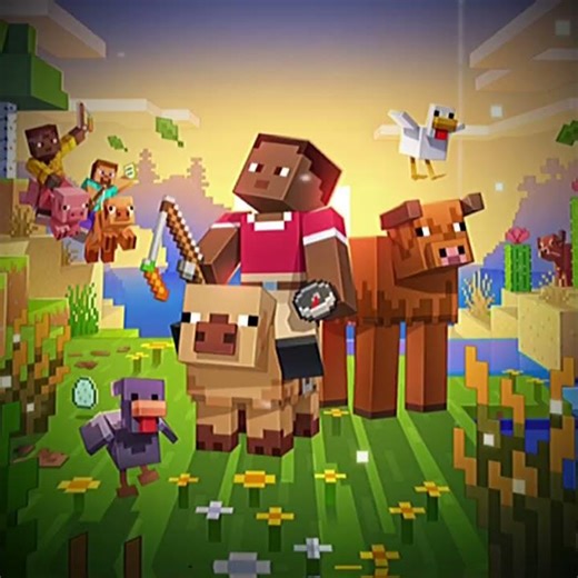 Target 2k Sub #minecraft