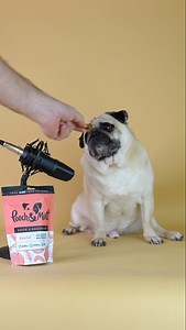 34K views · 1.4K reactions | ASMR with Pooch & Mutt New Meaty Treats They taste as good as they sound! 襤(play with sound) Whether you need to clean your pooches teeth, keep them calm or give them the healthiest floof - Pooch & Mutt have you covered  Use code: PUGGYSMALLS25 to get a huge 25% off any of their products! (link in comments) | Puggy Smalls | Facebook