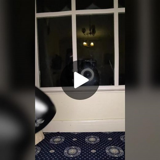 holly (@holly_rose_2022)’s videos with original sound - Jim