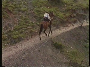 Aksioni i armëve Film Shqip