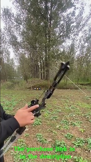 Steel Ball Compound Bow Kit, Dual Purpose Bow