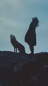 howl // animation of my original collage art, “howl” #art #surrealism #surrealart #collages #wolf | Caitlyn Grabenstein - cult.class