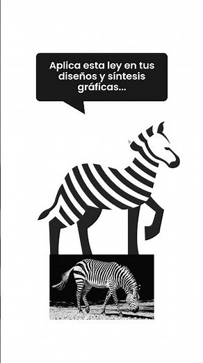 Ley de Similitud y Proximidad | PRINCIPIOS DE LA GESTALT