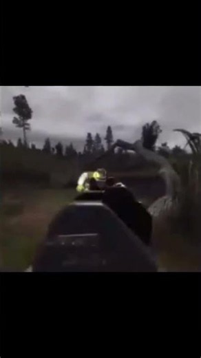 S.T.A.L.K.E.R Memes from the Zone