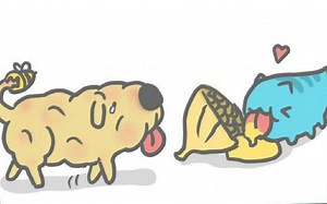 心疼我的狗狗_哔哩哔哩_bilibili