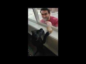 Tide Power-Pods Everyone's Gonna Need More Tide — Kumail Nanjiani