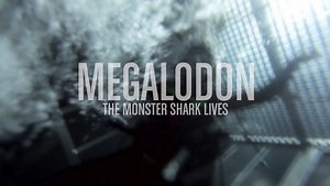 Megalodon : The Monster Shark Lives