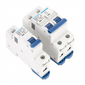 [Hot Item] 2p Automotive Circuit Breaker C Curve MCB Fork Busbar Type 6ka