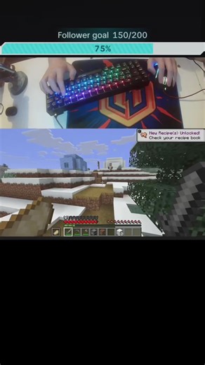 #minecraft #stream #java