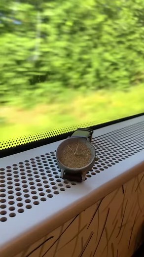 Silver Forrest 🍃🌙Special price : 2,490 THB (From 3,700 THB)—————————————-SizesSmall : Dial 35 mm., Strap width 16 mm.Large : Dial 42 mm., Strap width 20 mm.—————————————DetailsDial : Natural Dry MossBody: Silver Stainless SteelWater Resistant: 5ATMStrap: Brown Genuine LeatherGlass: Crystal Mineral with coated SapphireMovement: Japan Quartz | Forreststore