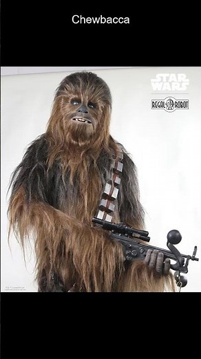 Who is Chewbacca?