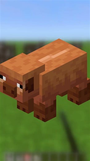 Forgotten 26.1 Features #shorts #minecraft