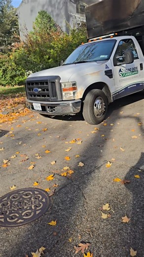 36 reactions · 4 comments | Fall Clean Ups Underway | Rob Paolucci | Facebook