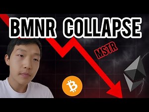 Why I'm BEARISH on $BMNR and the Crypto sector as a whole