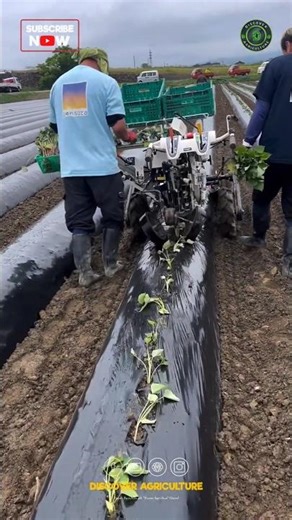 Amazing Vegetable Planting Machine