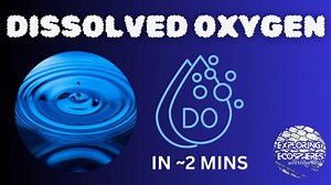 Dissolved Oxygen in Water Quality: Importance and Factors | Exploring Ecospheres posted on the topic | LinkedIn