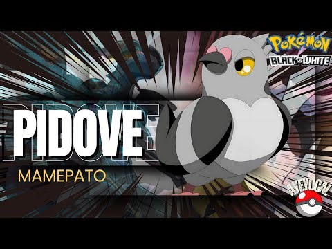 Where To Find PIDOVE | Pokémon Black & White