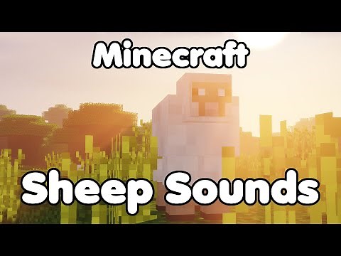 Sheep Sounds Minecraft [10 Hours] - Relaxing Minecraft Sound Loop