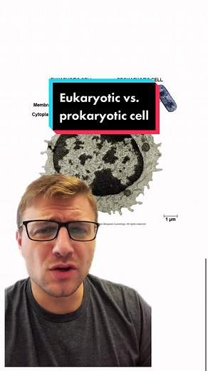 Understanding the Difference: Eukaryotic vs. Prokaryotic Cells