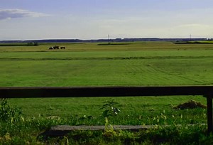 Do You Need Title Insurance for Vacant Land? | JD Title