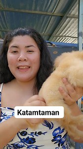 Katamtaman | Nalla's paws