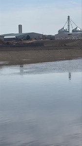 309K views · 1.8K reactions | We have 3 lagoons and 1 containment pond at county line. Our lagoons play a big role in nutrient management. | County Line Dairy | Facebook