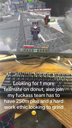 #minecraft#fyp#viral#java#donut | Minecraft Game