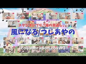 風になる/つじあやの スタジオジブリ「猫の恩返し」|Theme of "The Cat Returns" from Studio Ghibli"|猫的报恩 【collaboration cover】