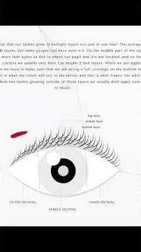 how to lash in layers for eyelash extensions #lashartist #lashtraining
