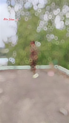 Exploring the Bangladesh Lady Army