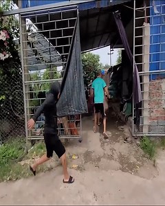 994K views · 10K reactions | El joven casi se convirtió en el almuerzo de la gran pitón. | Moment Reels | Facebook