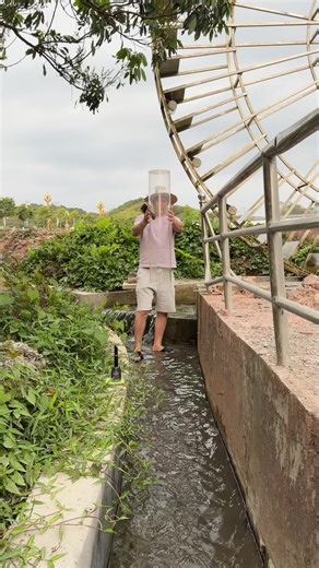 Best Cordless Vacuum Cleaner Review