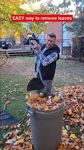 Easy way to remove leaves using a weed Wacker #diytips #leafremoval #leaves #yardwork #lawncare #diy