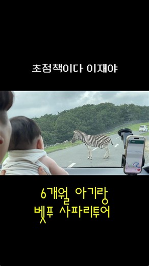 6개월 아기랑 벳푸 사파리 투어 #벳푸 #일본 #사파리투어 #일본여행