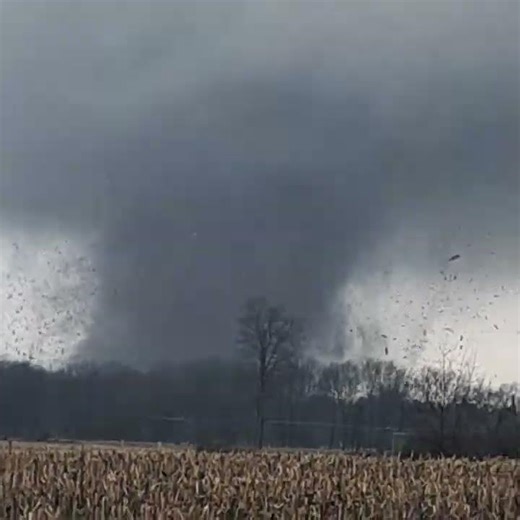 Violent Tornado Hits Union City, MI 03/06/2026