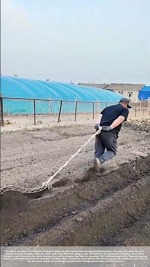 Pulling the Plow: How Two Farmers Work Together to Till the Land