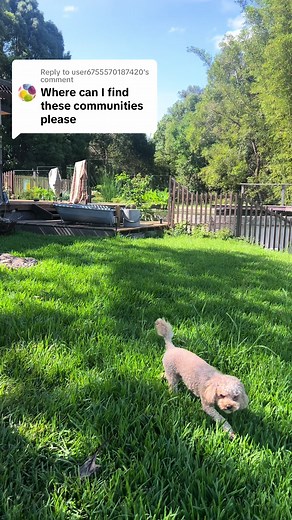 How Community Farms Work and Where to Find Land