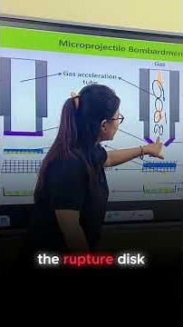 Gene Gun Method Of Gene Transfer #GeneGun #Biolistics #GeneTransfer #GeneticEngineering #kpsc