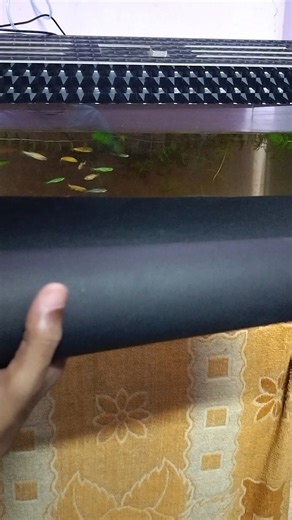 Aqua Thamizhan on Instagram: "₹15 trick la Unga aquarium look a full ah change panalam ✨ Tip: Light colour fish → black chart Dark colour fish → white chart Save pannunga 📌 Beginner friends ku share pannunga [budget aquarium setup beginner aquarium tips aquarium hacks fish tank ideas Tamil aquarium aquarium setup Tamil]"